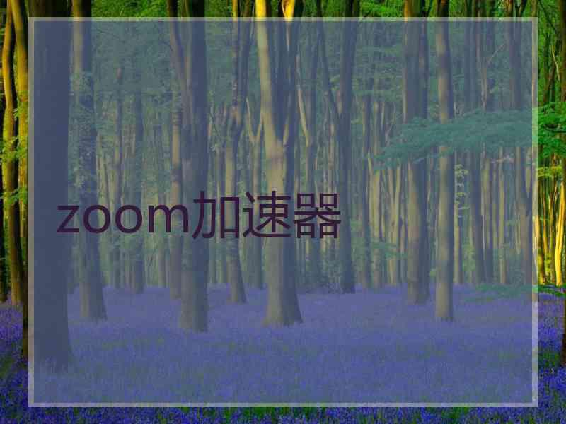 zoom加速器