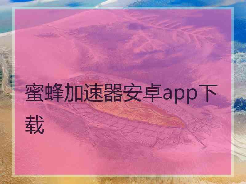 蜜蜂加速器安卓app下载