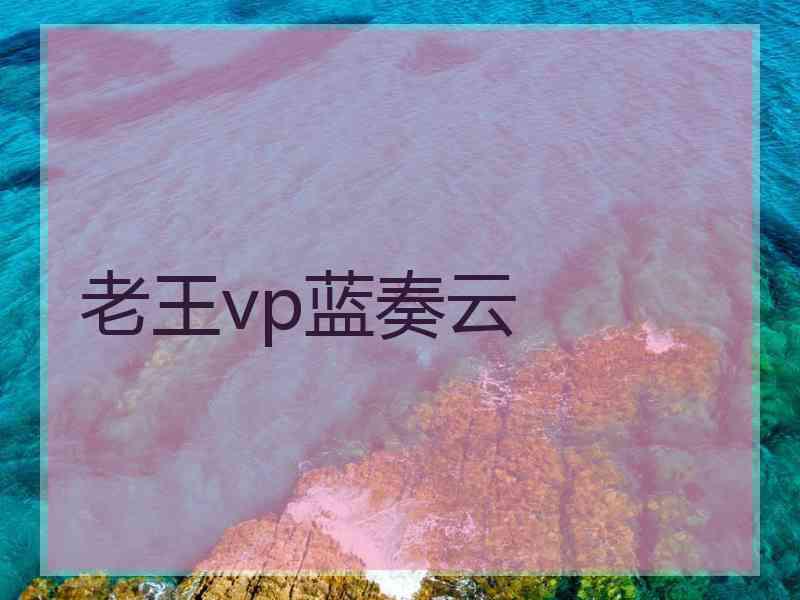 老王vp蓝奏云