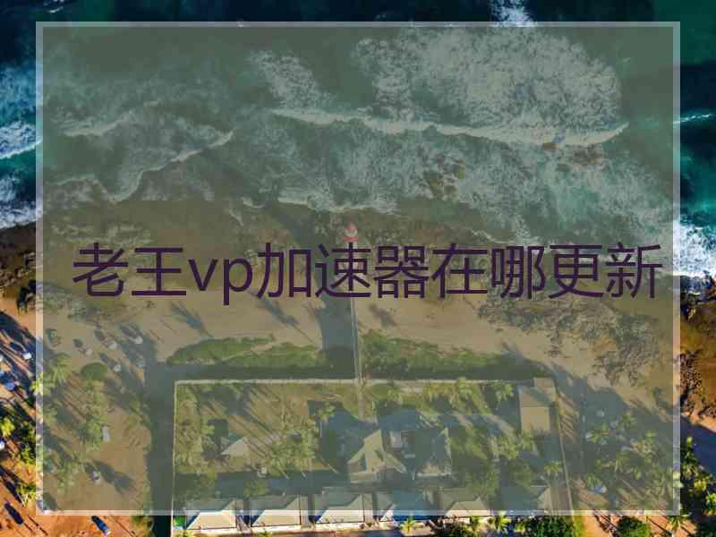 老王vp加速器在哪更新