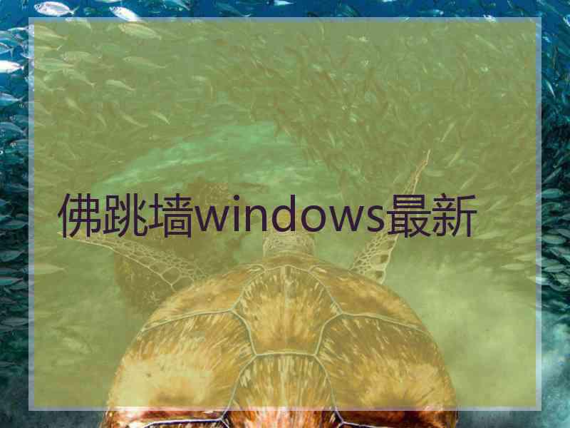 佛跳墙windows最新