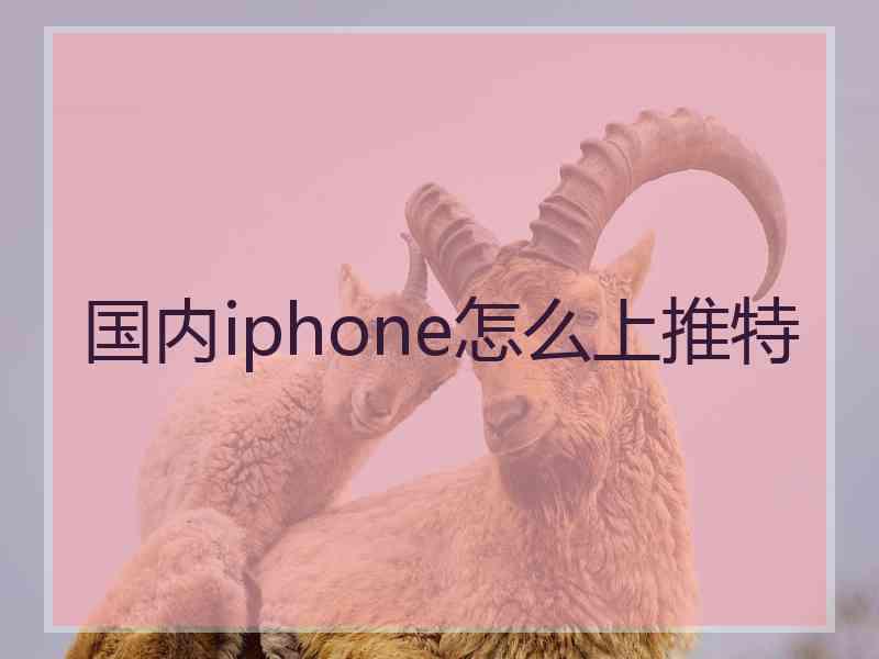 国内iphone怎么上推特