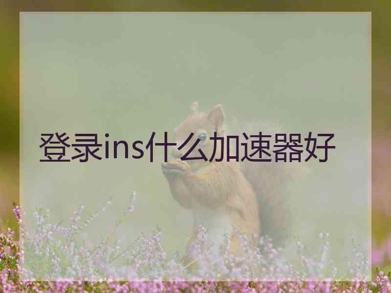 登录ins什么加速器好