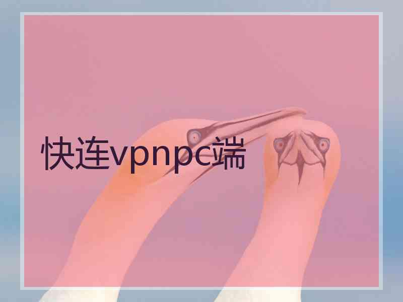 快连vpnpc端