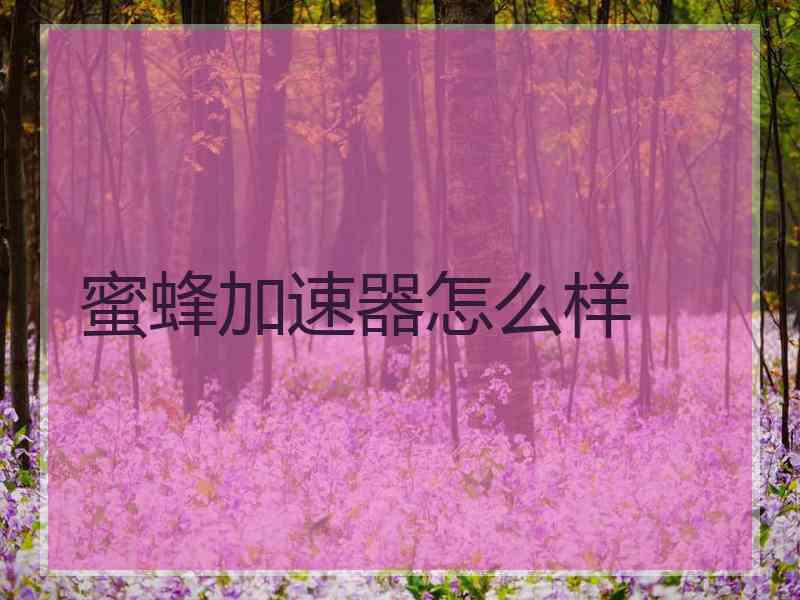 蜜蜂加速器怎么样