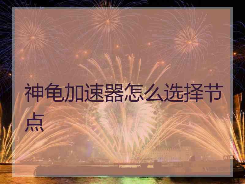 神龟加速器怎么选择节点