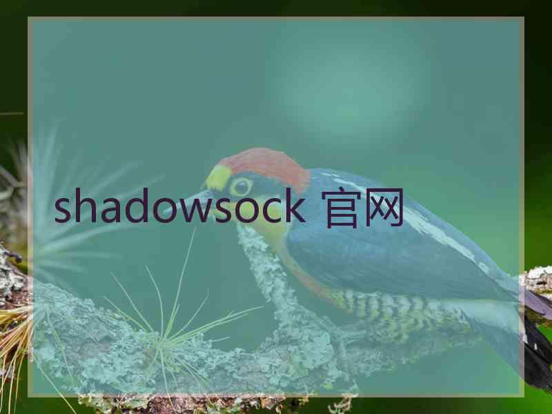 shadowsock 官网