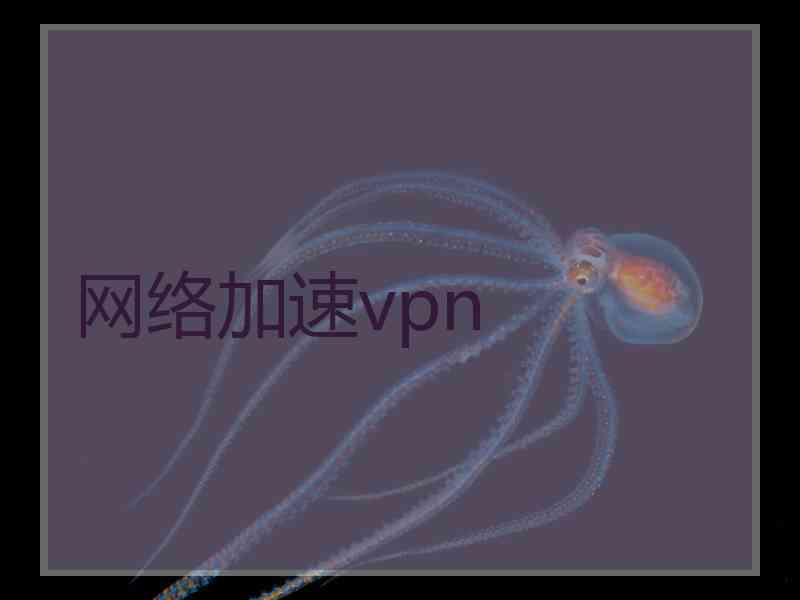 网络加速vpn