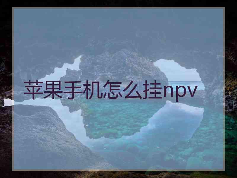 苹果手机怎么挂npv