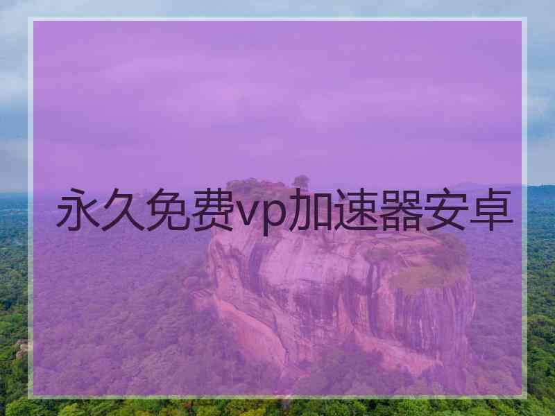 永久免费vp加速器安卓