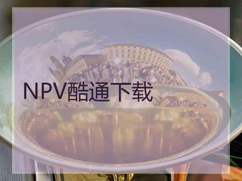 NPV酷通下载