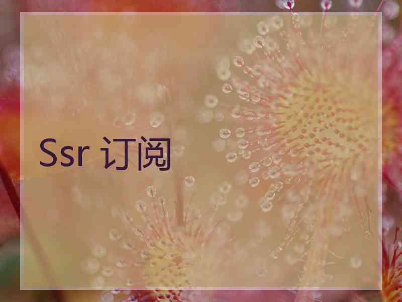 Ssr 订阅