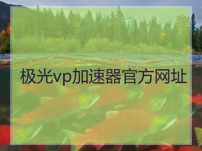 极光vp加速器官方网址