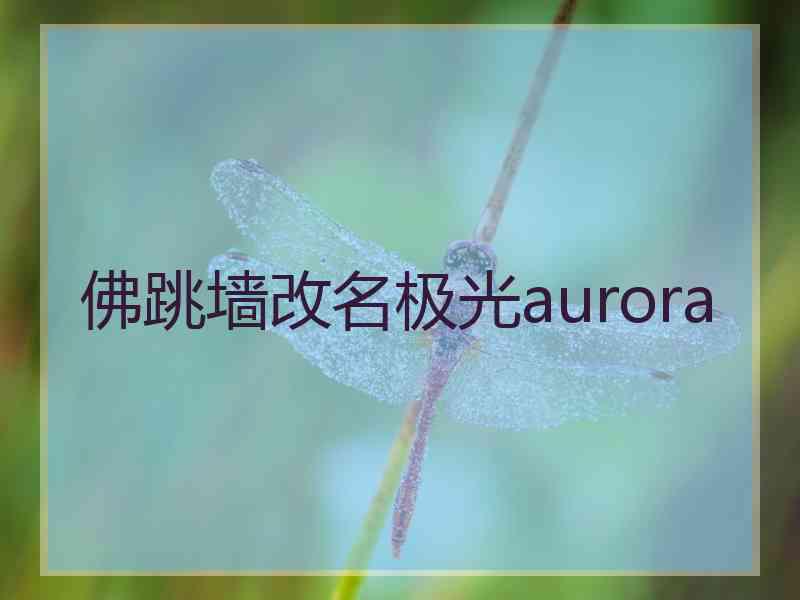 佛跳墙改名极光aurora