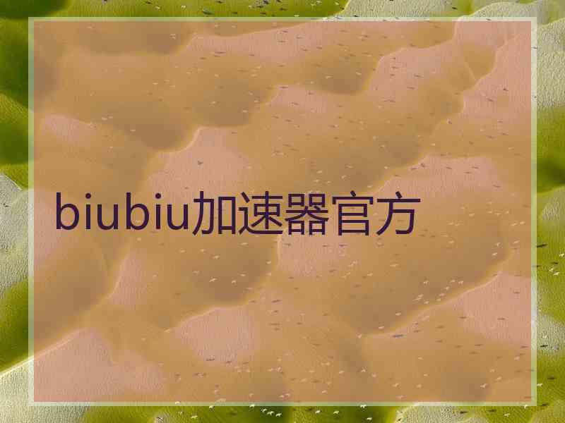 biubiu加速器官方