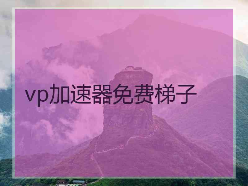 vp加速器免费梯子