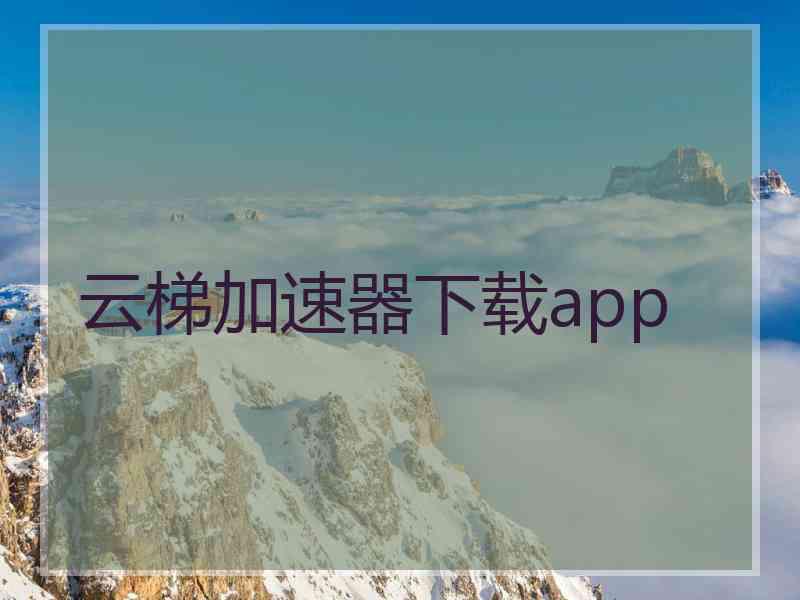 云梯加速器下载app