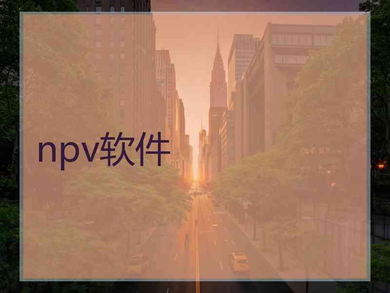 npv软件