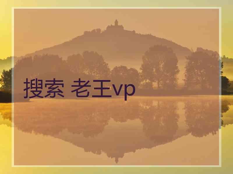 搜索 老王vp