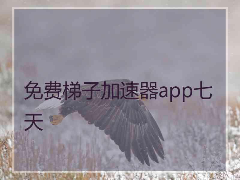 免费梯子加速器app七天