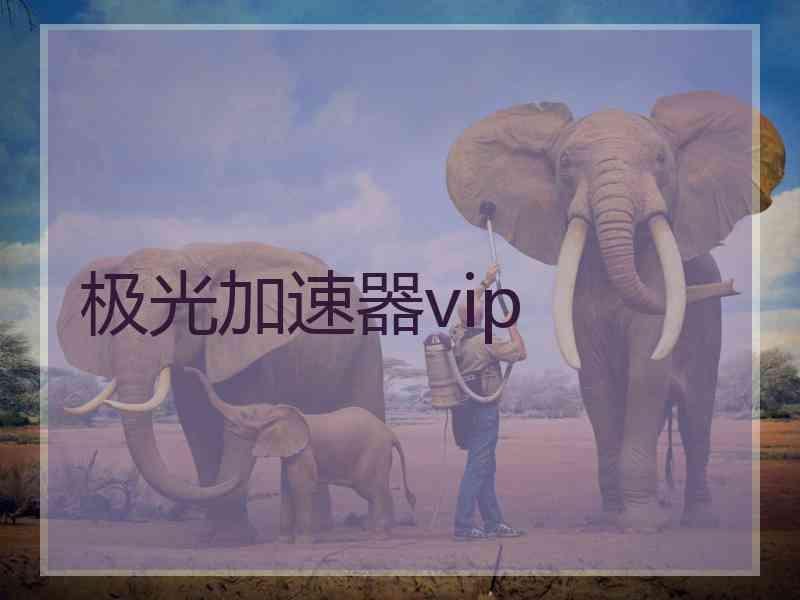 极光加速器vip