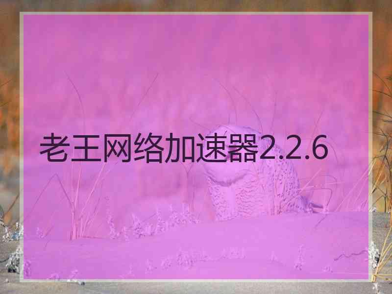 老王网络加速器2.2.6