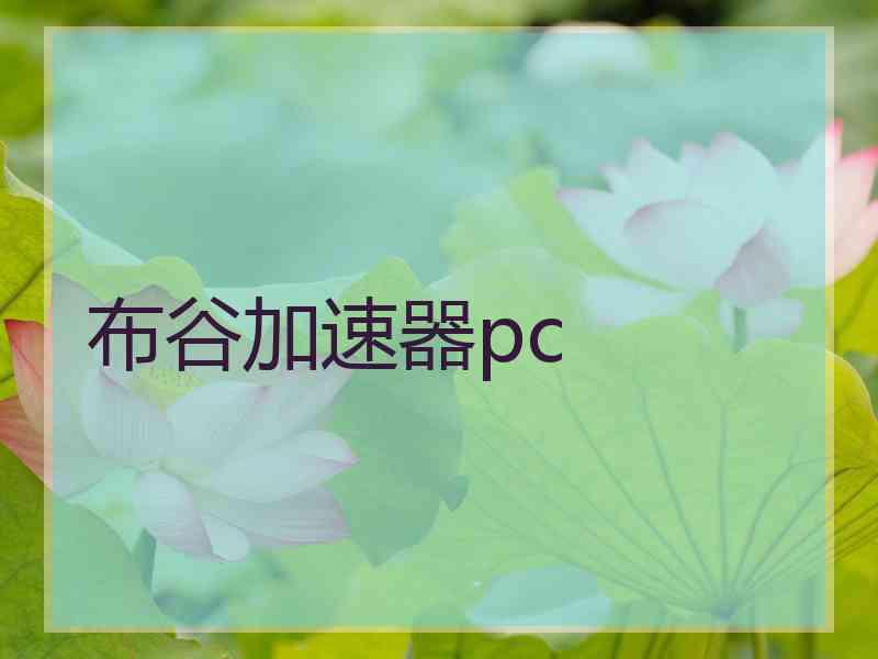 布谷加速器pc