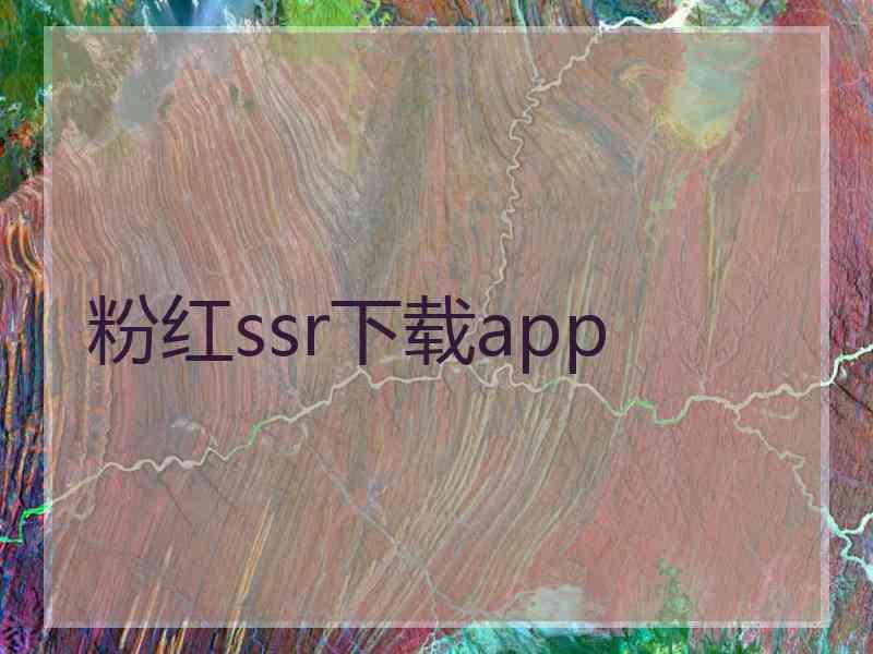 粉红ssr下载app