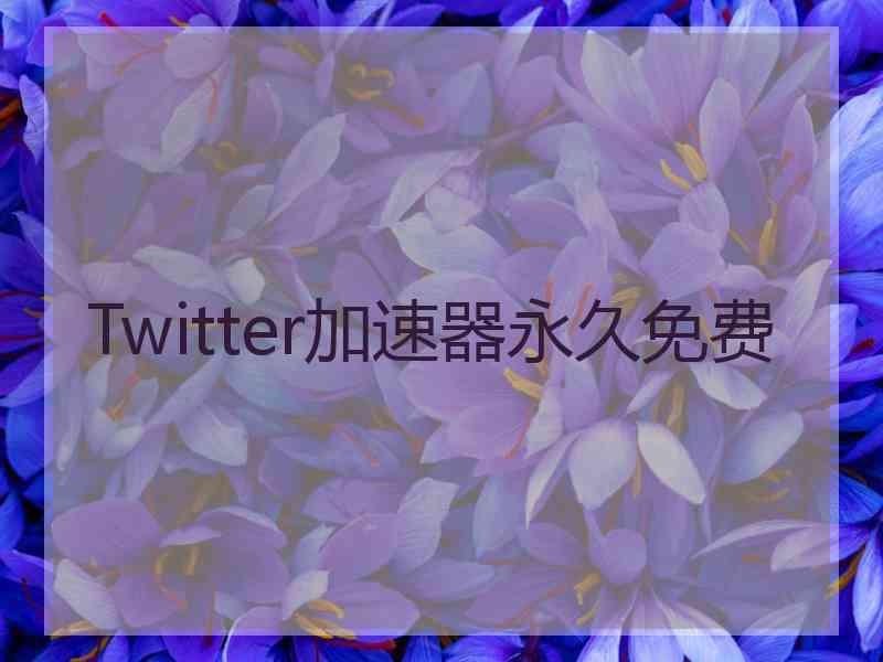 Twitter加速器永久免费