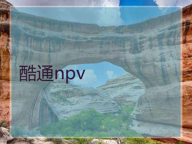 酷通npv