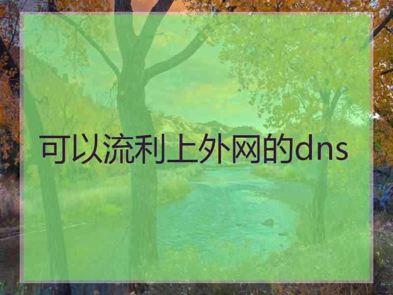 可以流利上外网的dns