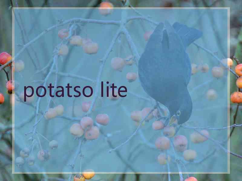 potatso lite