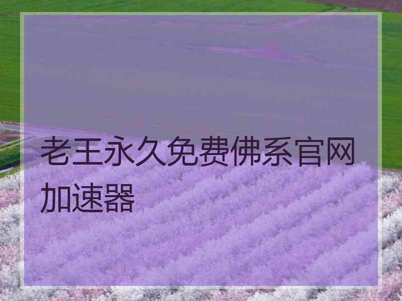 老王永久免费佛系官网加速器