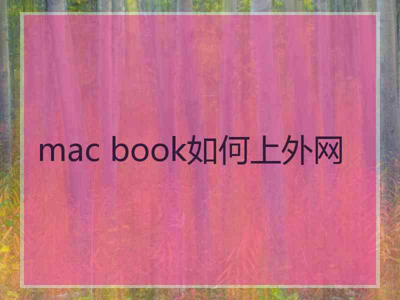 mac book如何上外网