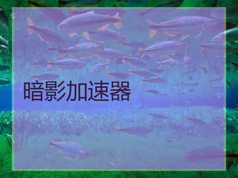 暗影加速器