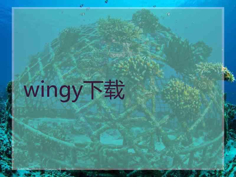 wingy下载