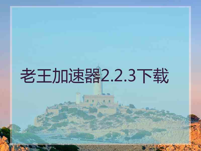 老王加速器2.2.3下载