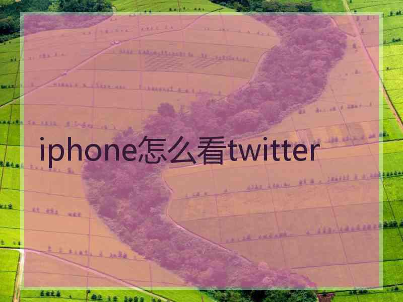 iphone怎么看twitter