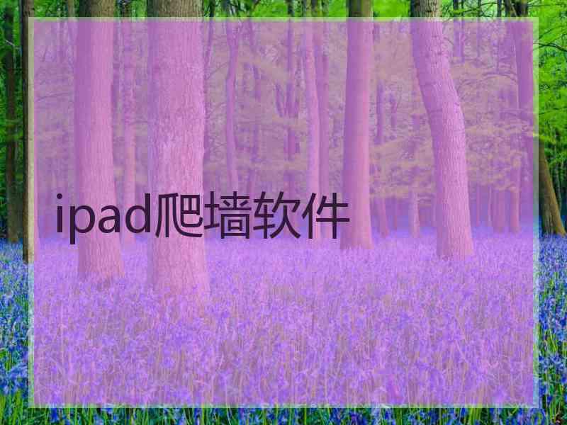 ipad爬墙软件