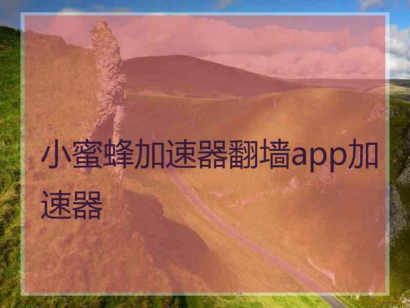 小蜜蜂加速器翻墙app加速器