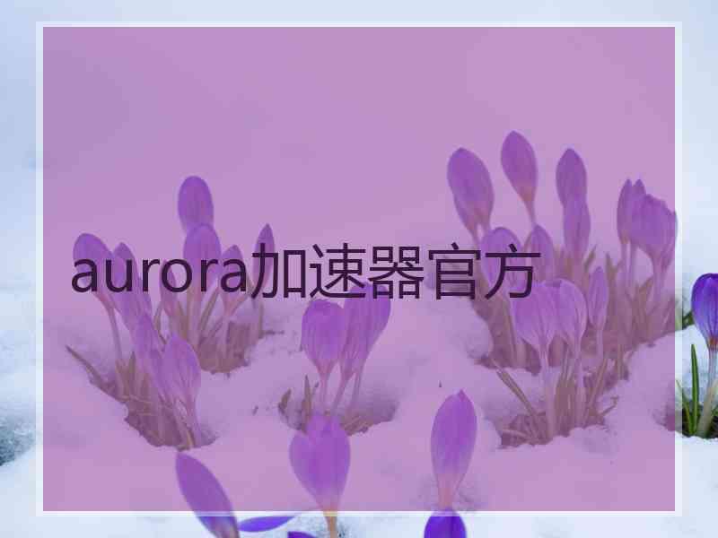 aurora加速器官方