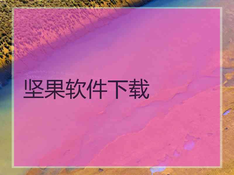 坚果软件下载