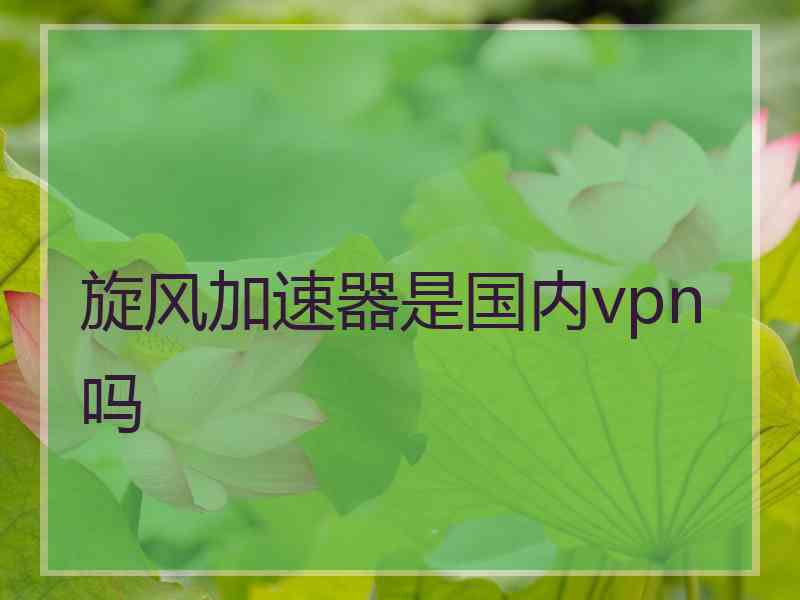 旋风加速器是国内vpn吗