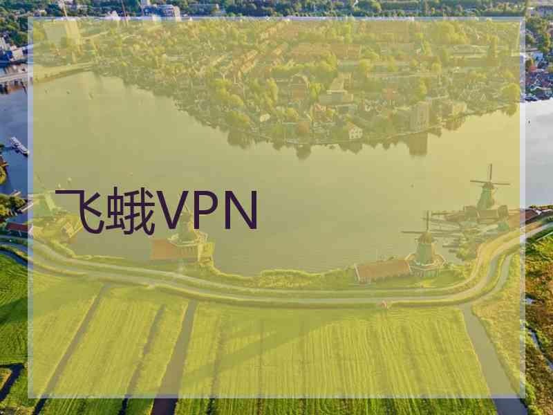 飞蛾VPN