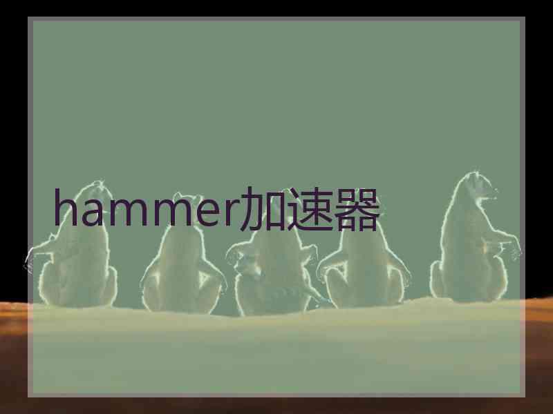 hammer加速器