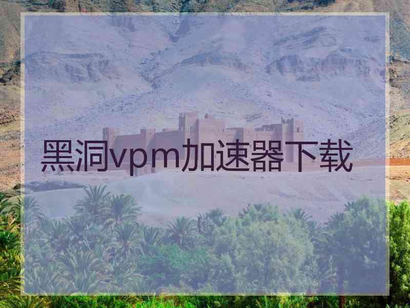 黑洞vpm加速器下载