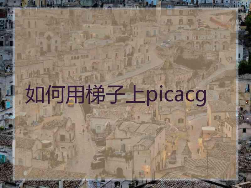 如何用梯子上picacg