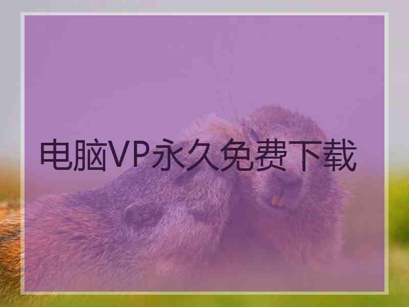 电脑VP永久免费下载