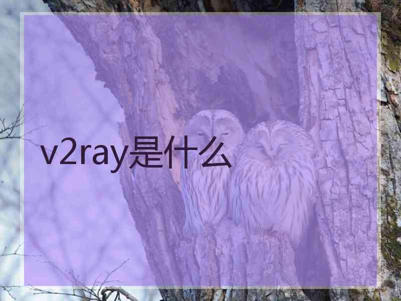 v2ray是什么