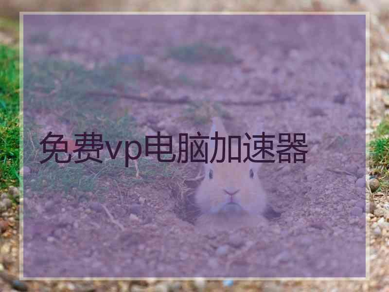 免费vp电脑加速器